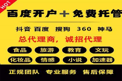 案例解析：托管SEM竞价助力企业腾飞